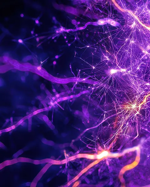 QUIRON | Epilepsia